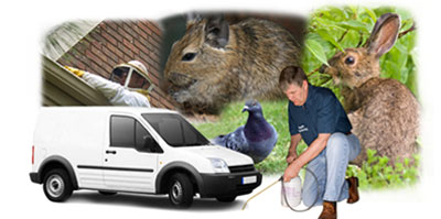 Pudsey local van